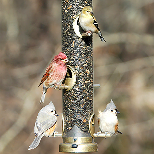 Aspects Large Bird Feeder Set, Antique Brass