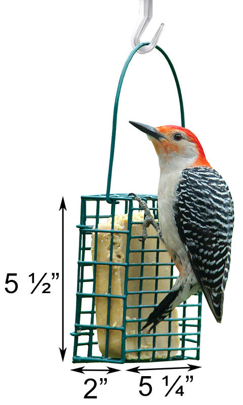 Audubon Single Suet Cake Feeder w/Woodpecker Treat Suet