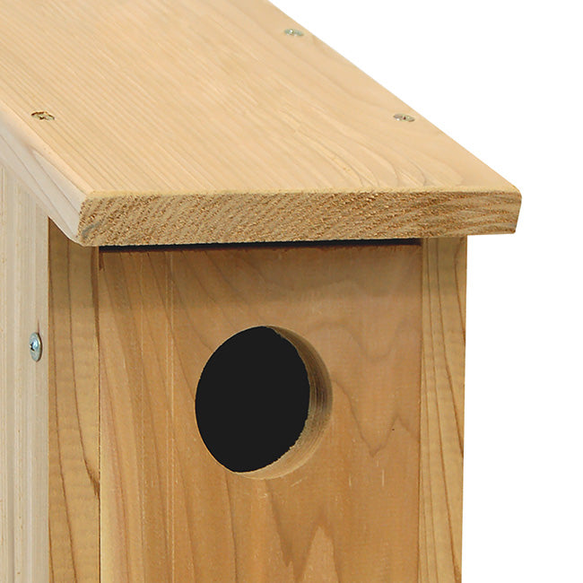 Audubon Woodpecker Houses, Pack of 2
