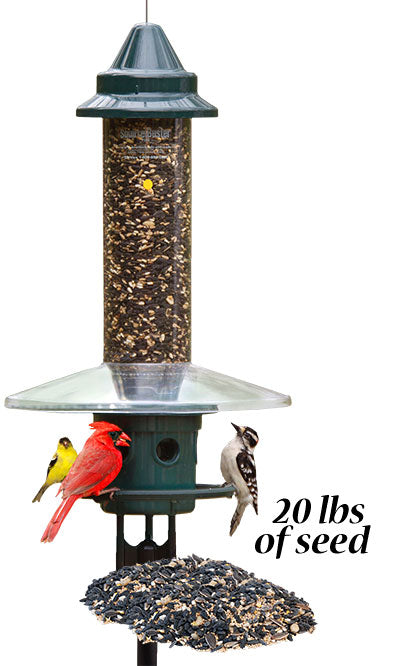 Squirrel Buster Plus Bird Feeder w/ Pole, Guard, and Seed