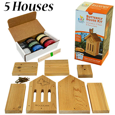 Woodlink Butterfly House DIY Craft Kits w/Milk Paint Powders at