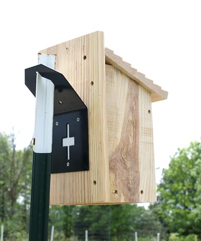 Stokes Bluebird House Package with "T" Post Adapters