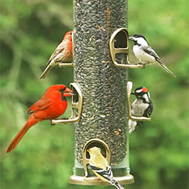 Aspects Big Tube Wild Bird Feeder w/ Seed, Dome, and Tray