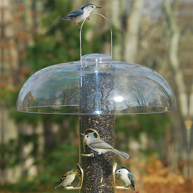 Aspects Big Tube Wild Bird Feeder w/ Seed, Dome, and Tray