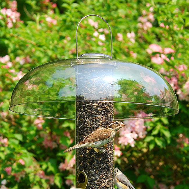 Aspects Big Tube Wild Bird Feeder w/ Seed, Dome, and Tray