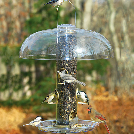Aspects Big Tube Wild Bird Feeder w/ Seed, Dome, and Tray