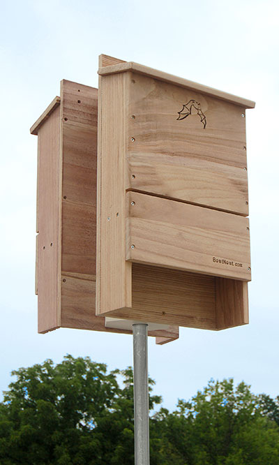BestNest Double Bat House Kit, 500 bats