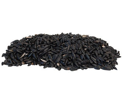 Black Oil Sunflower Seed
