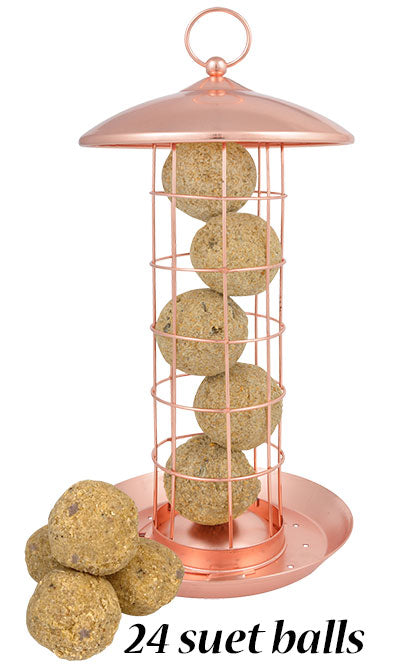 Copper Colored Suet Ball Feeder w/Fruit & Nut Suet Balls Kit