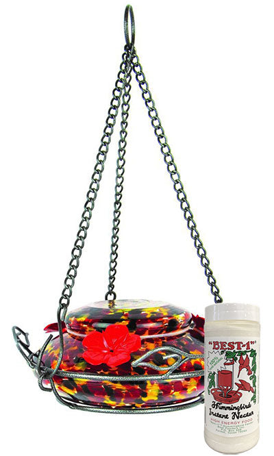 Nature's Way Hummingbird Feeder w/Perch Ring & Nectar Kit