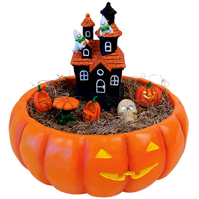 Happy Halloween Fairy Garden Package