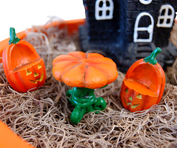Happy Halloween Fairy Garden Package