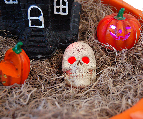 Happy Halloween Fairy Garden Package
