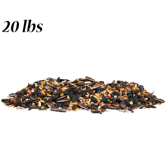 Wild Bird Seed Mix, No Millet Special