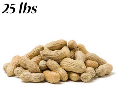 Peanuts in the Shell