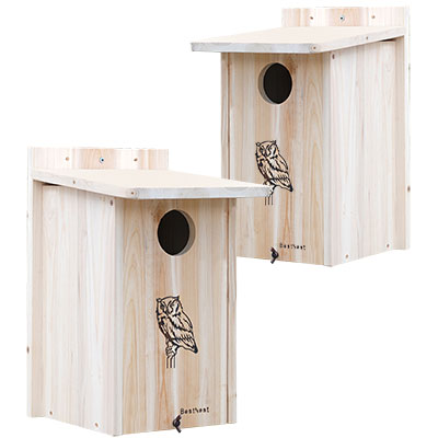 BestNest Premium Screech Owl / Kestrel House