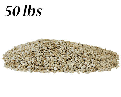 Safflower Seed