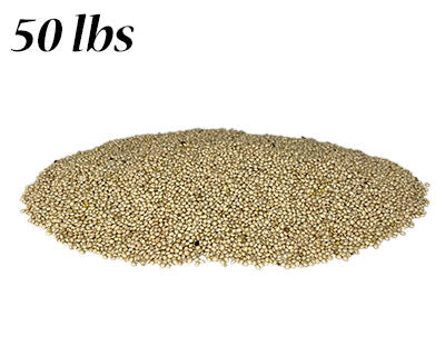 White Millet
