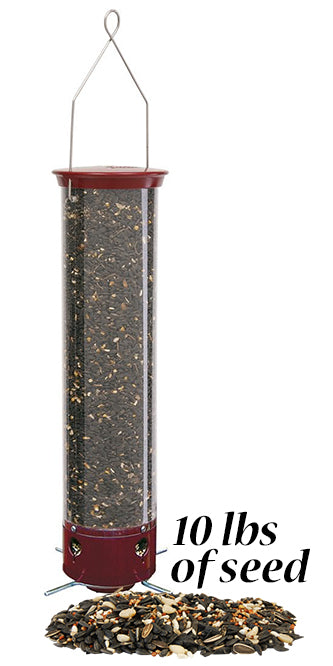 Droll Yankees Yankee Dipper Bird Feeder with 10 lbs. Seed
