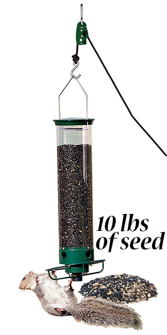 Droll Yankees Yankee Flipper Bird Feeder w/Seed & Hanger