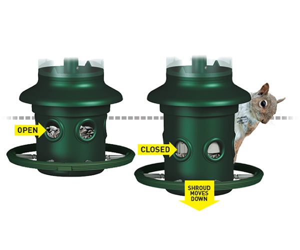 Brome Squirrel Buster Plus Squirrel Proof Feeder & Hanger
