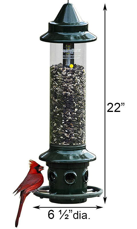 Brome Squirrel Buster Plus Squirrel Proof Feeder & Hanger