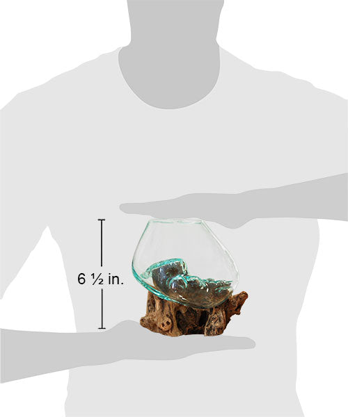 Medium Molten Glass Bowl & Natural Wood Sculpture