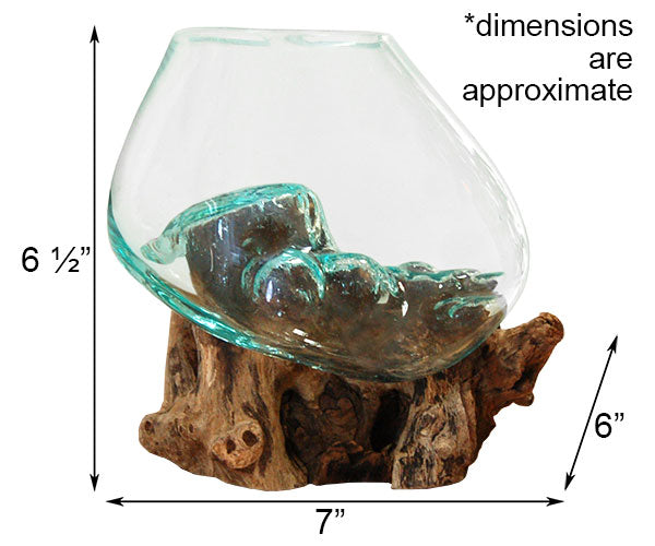 Medium Molten Glass Bowl & Natural Wood Sculpture