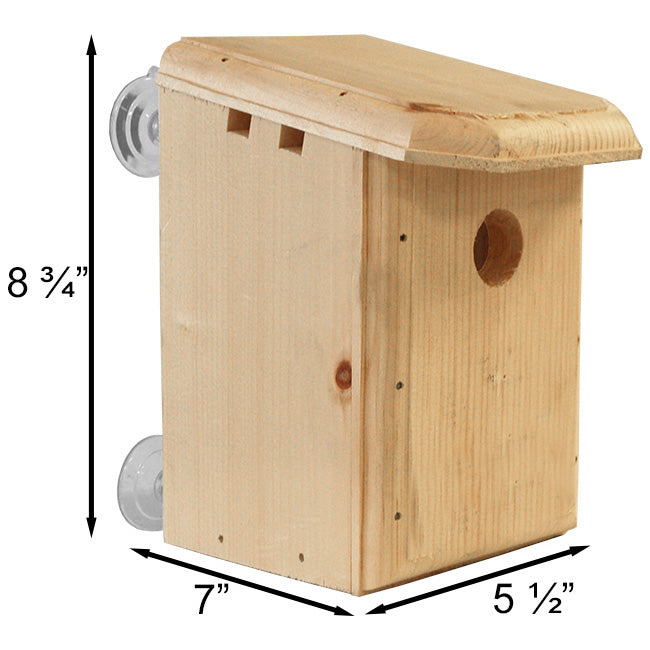 Coveside Window Nest Box Kits, Club Pack of 4