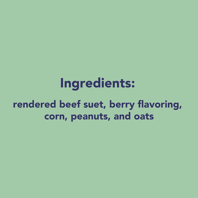C&S Berry Delight Suet Cakes, 11.75 oz., Pack of 24