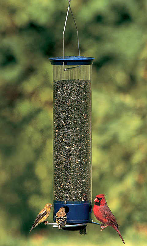 Droll Yankees Yankee Whipper Bird Feeder with 10 lbs. Seed