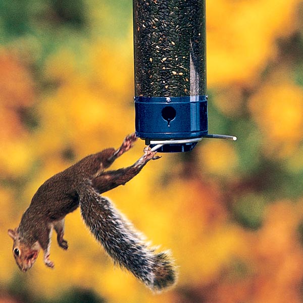 Droll Yankees Yankee Whipper Bird Feeder with 10 lbs. Seed