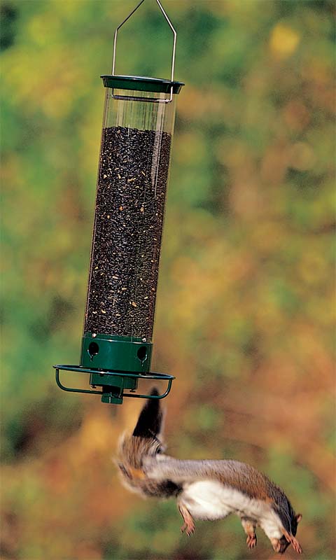 Droll Yankees Yankee Flipper Bird Feeder w/Seed & Hanger