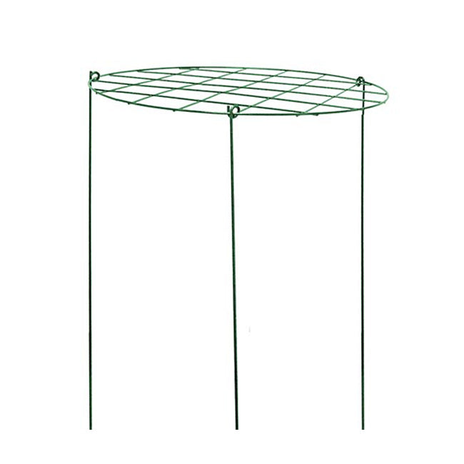 Gardman Grow-Through Plant Supports, 12" dia., Pack of 20