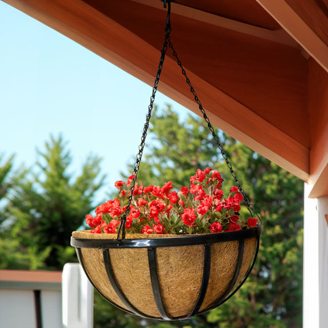Gardman Forged Hanging Baskets, Black, 14" dia., Pack of 5
