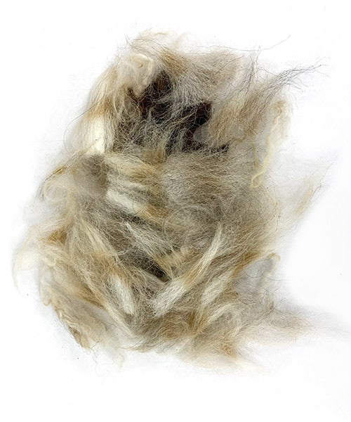 GreenBird Eco Friendly Nesting Material Holder with Fibers