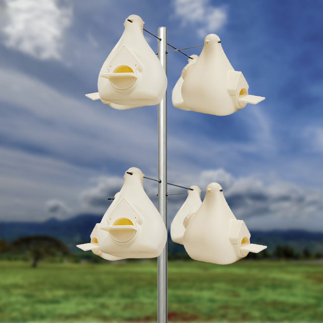 Wild Bird Lover's Deluxe Purple Martin Gourds & Pole Package
