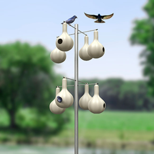 Wild Bird Lover's Single Purple Martin Gourds, Pack of 4