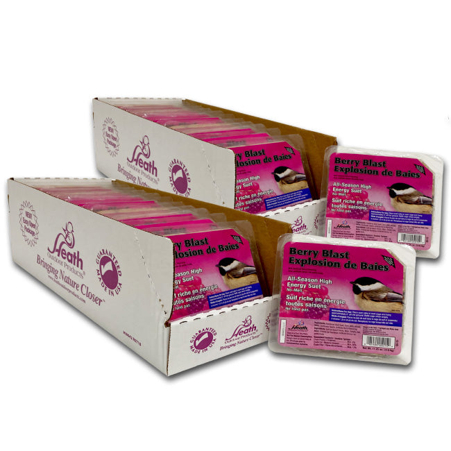 Heath Berry Blast Suet Cakes, 11.25 oz., Pack of 24 Cakes