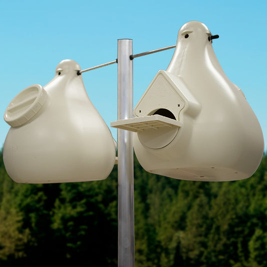 Heath Deluxe Purple Martin Gourds, Pack of 2