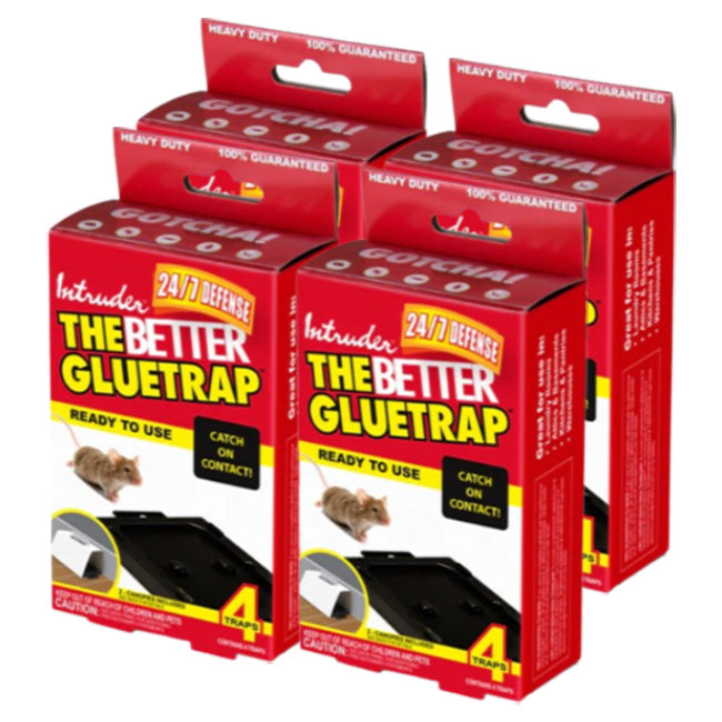 Intruder The Better Gluetrap™ with Canopy, Pack of 12 Traps