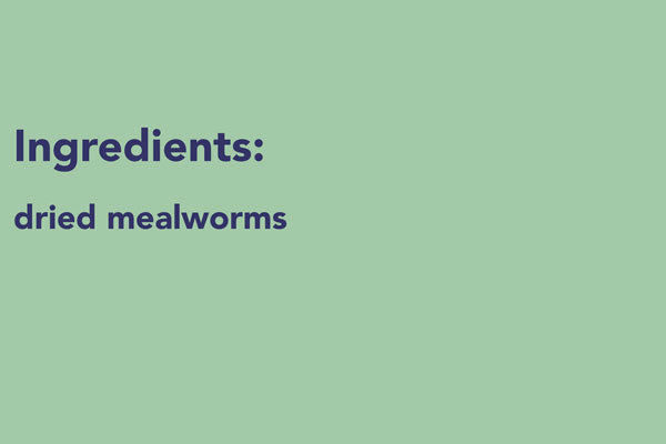 Gardman Dried Mealworms - 84 ounces