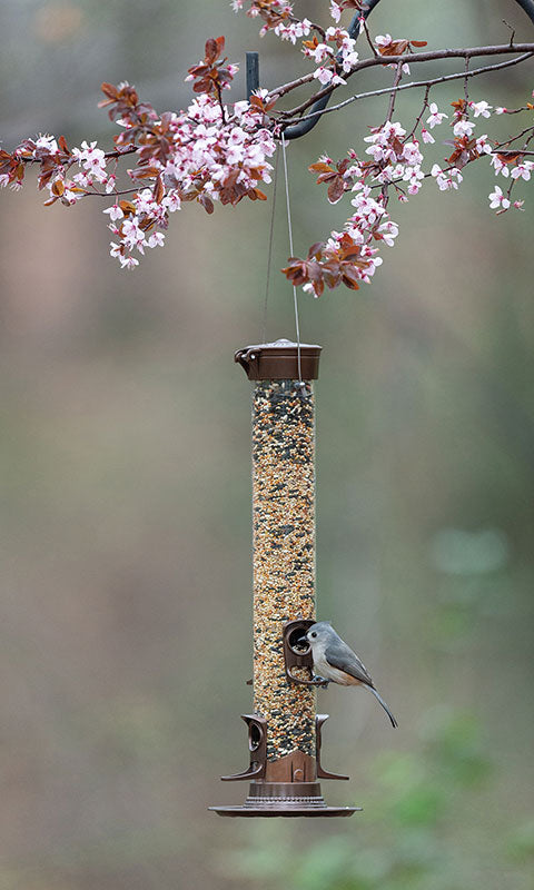 More Birds SureFill Metal Seed Tube Bird Feeders, Pack of 2