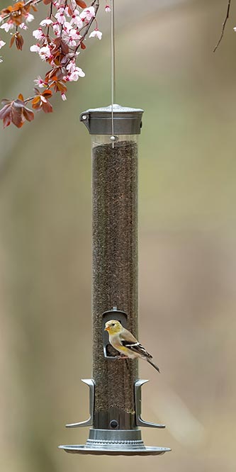 More Birds SureFill Metal Thistle Tube Feeders, Pack of 2