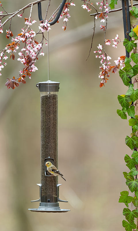 More Birds SureFill Metal Thistle Tube Feeders, Pack of 2