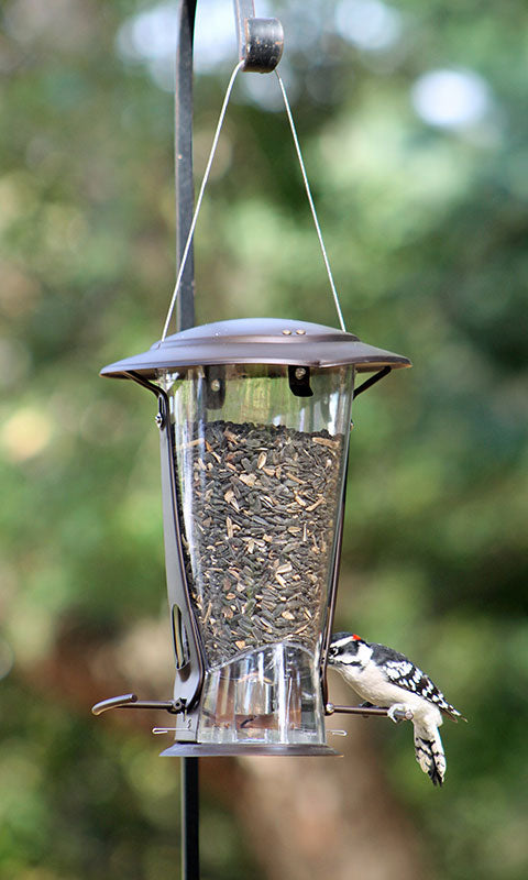 More Birds Squirrel X-2 Squirrel Proof Feeders, Pack of 2
