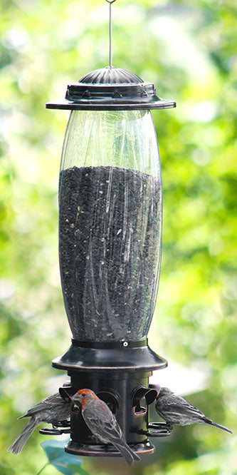 More Birds Squirrel X-6 Squirrel Proof Feeders, Pack of 2