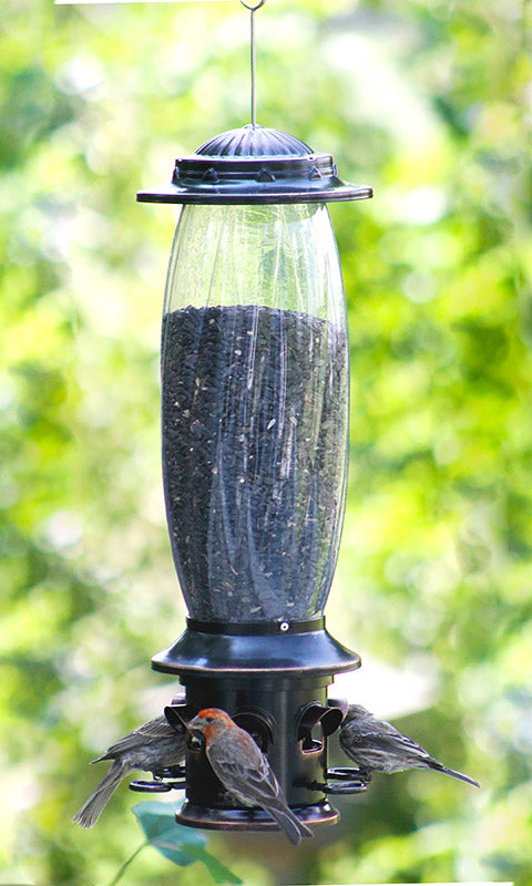 More Birds Squirrel X-6 Squirrel Proof Feeders, Pack of 2
