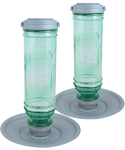 More Birds Vintage Bottle Bird Feeders, Pack of 2