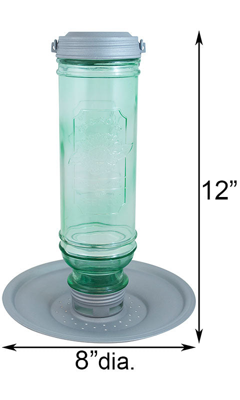 More Birds Vintage Bottle Bird Feeders, Pack of 2